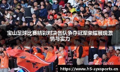 宝山足球比赛精彩对决各队争夺冠军荣耀展现激情与实力